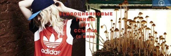 хмурый Заволжск
