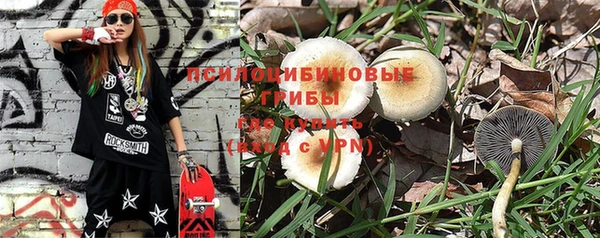 бошки Елабуга