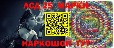 гидропоника Можайск