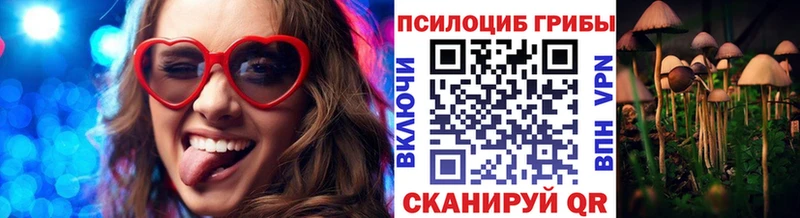 купить наркотик  Саратов  Псилоцибиновые грибы мухоморы 