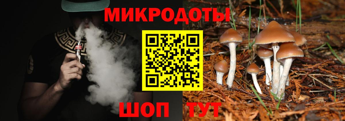 продажа наркотиков  Вход с VPN  Саратов  Галлюциногенные грибы прущие грибы  Галлюциногенные грибы Psilocybe 